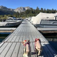 June Lake Campground ico