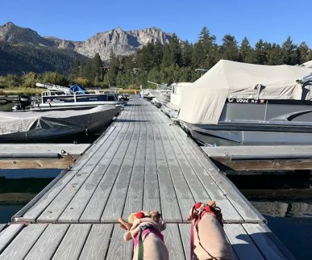 June Lake Campground