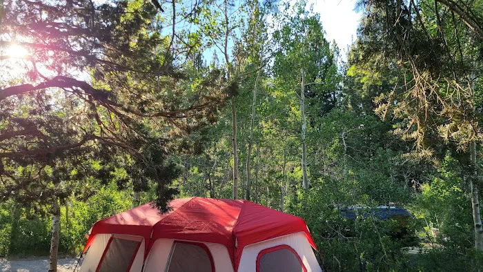 June Lake Campground Picture 5