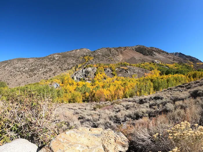 June Lake Campground Picture 6