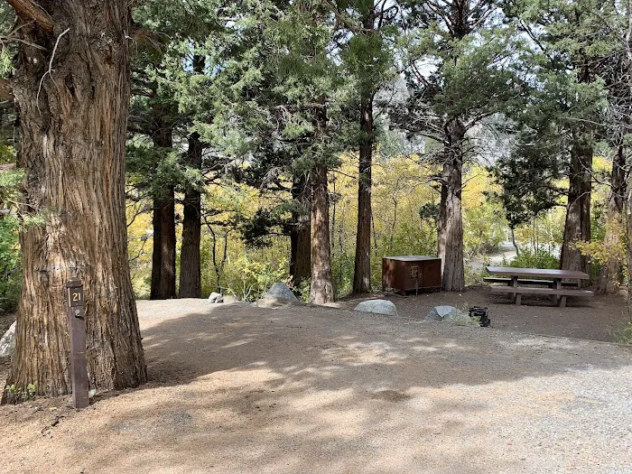 June Lake Campground Picture 9
