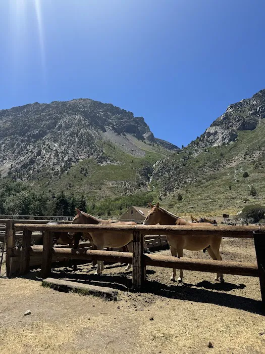 June lake Picture 6