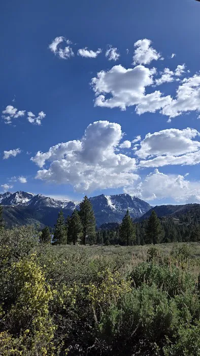 June lake Picture 7