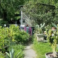 Bluebonnet Mobile Home Park ico