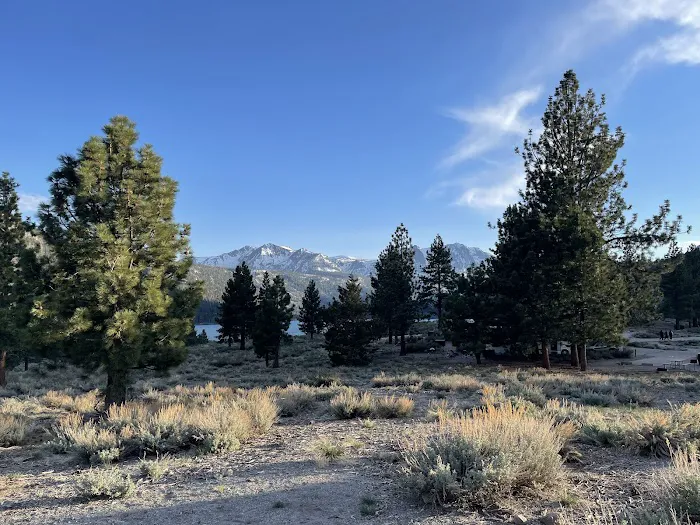 Oh Ridge Campground Picture 5