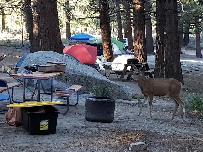 Oh Ridge Campground Picture 9