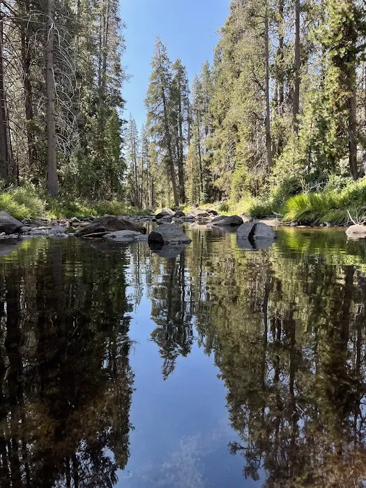 Yosemite Creek Campground Picture 1