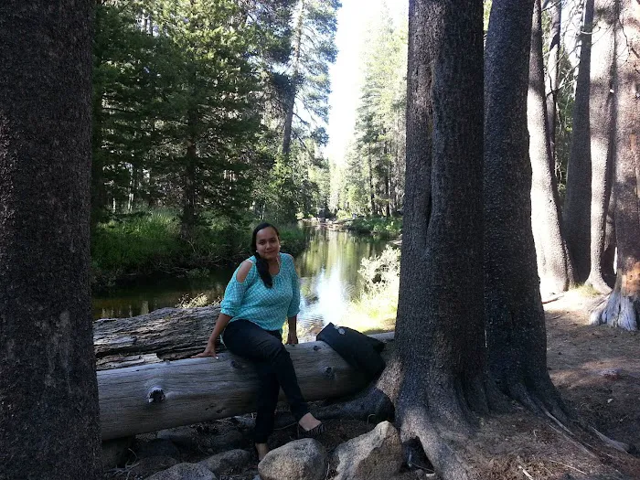 Yosemite Creek Campground Picture 4