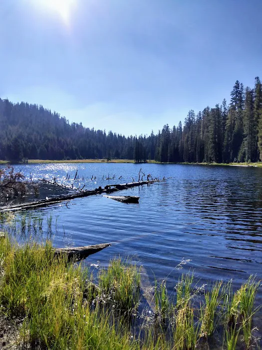 White Wolf Campground Picture 4