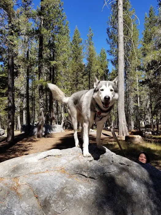 White Wolf Campground Picture 9