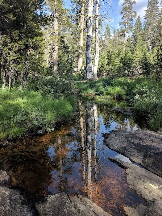 White Wolf Campground Picture 7