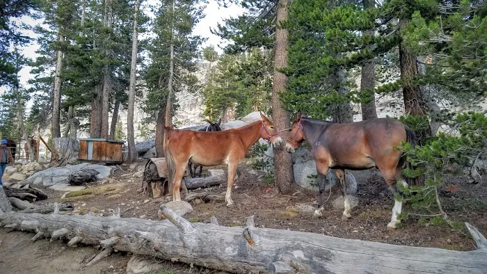 Sunrise High Sierra Camp Picture 8