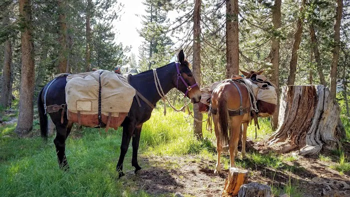 Sunrise High Sierra Camp Picture 7
