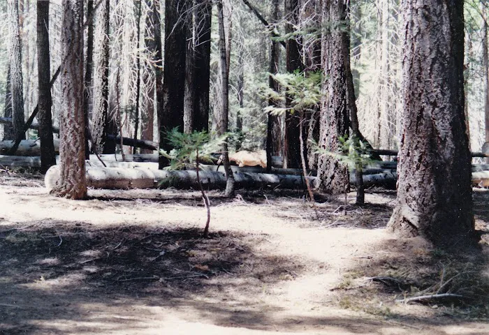 Merced Lake High Sierra Camp Picture 6