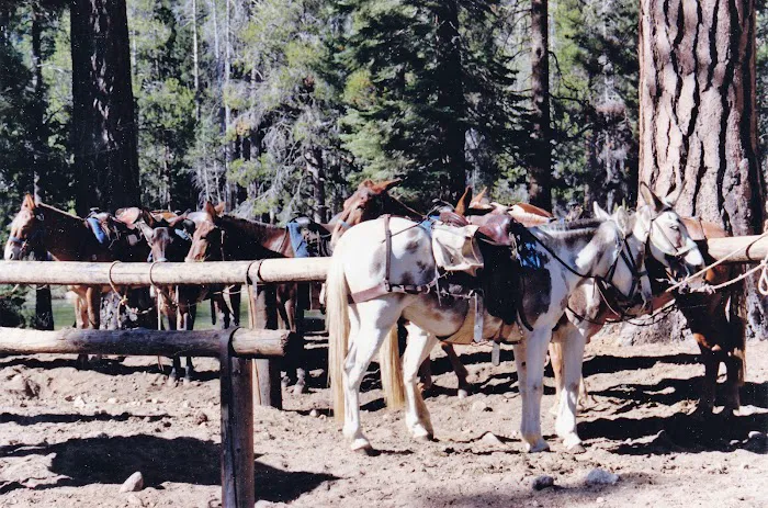 Merced Lake High Sierra Camp Picture 10