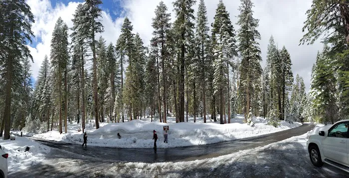 Crane Flat Campground Picture 1