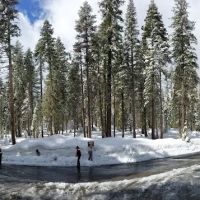 Crane Flat Campground ico