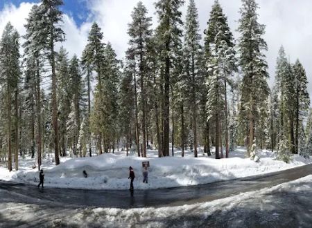 Crane Flat Campground