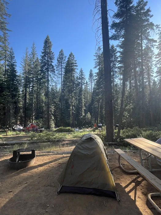 Crane Flat Campground Picture 2
