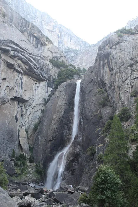 Crane Flat Campground Picture 6