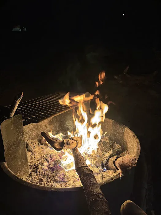 Crane Flat Campground Picture 4