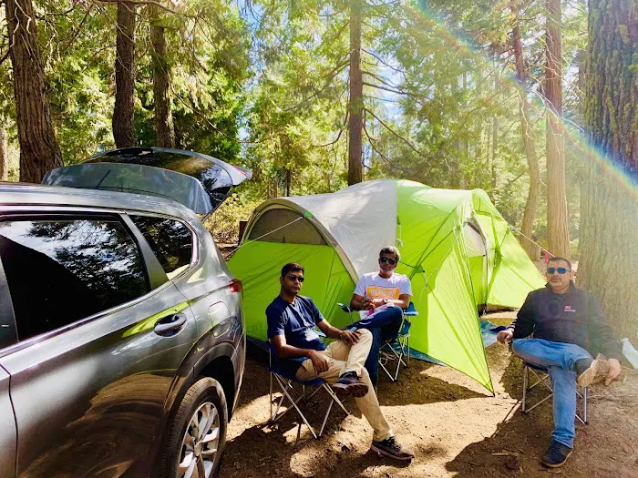 Crane Flat Campground Picture 7