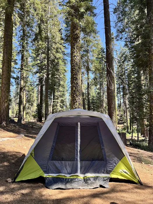 Crane Flat Campground Picture 9