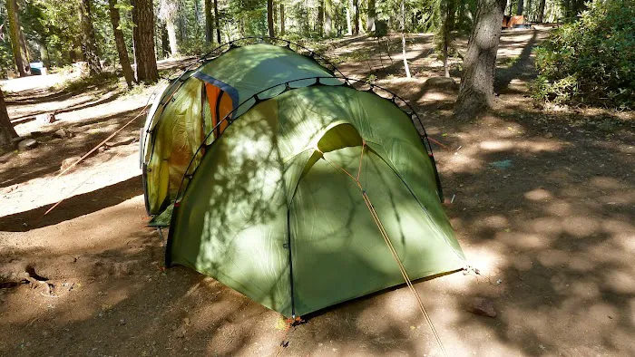 Crane Flat Campground Picture 8