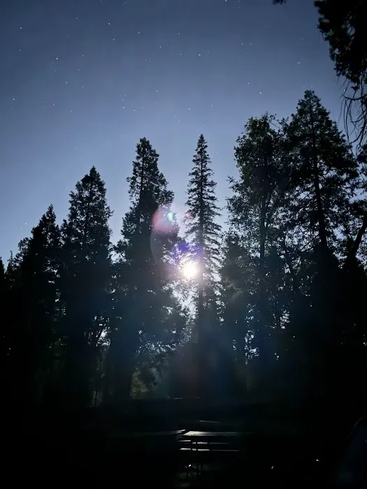 Hodgdon Meadow Campground Picture 6