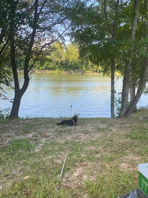 POP'S HIDEOUT RV PARK Picture 8