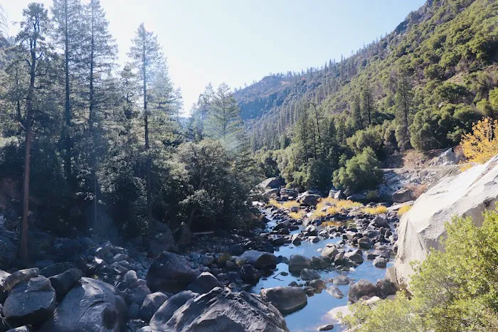 Dirt Flat Campground Picture 8