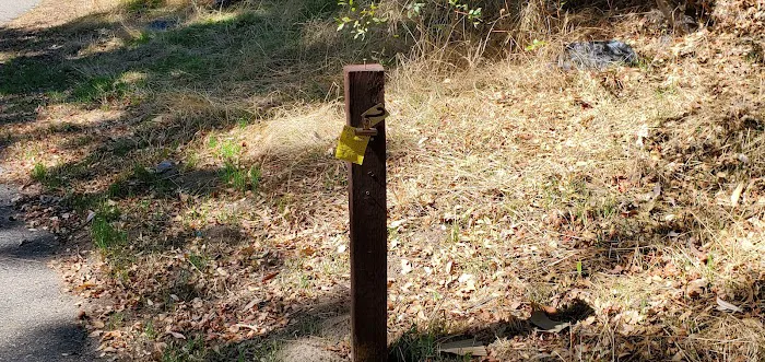 Dirt Flat Campground Picture 10