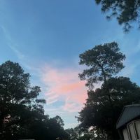 El Dorado Manufactured Home Community ico