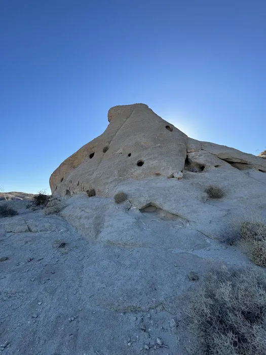 Coyote Mountains Wilderness Picture 3