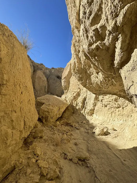 Coyote Mountains Wilderness Picture 6