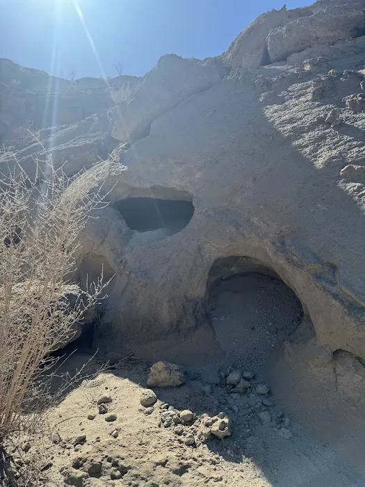 Coyote Mountains Wilderness Picture 4
