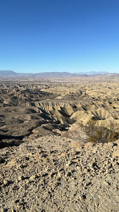 Coyote Mountains Wilderness Picture 9