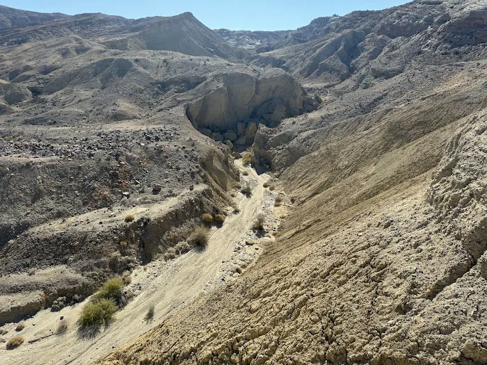Coyote Mountains Wilderness Picture 10