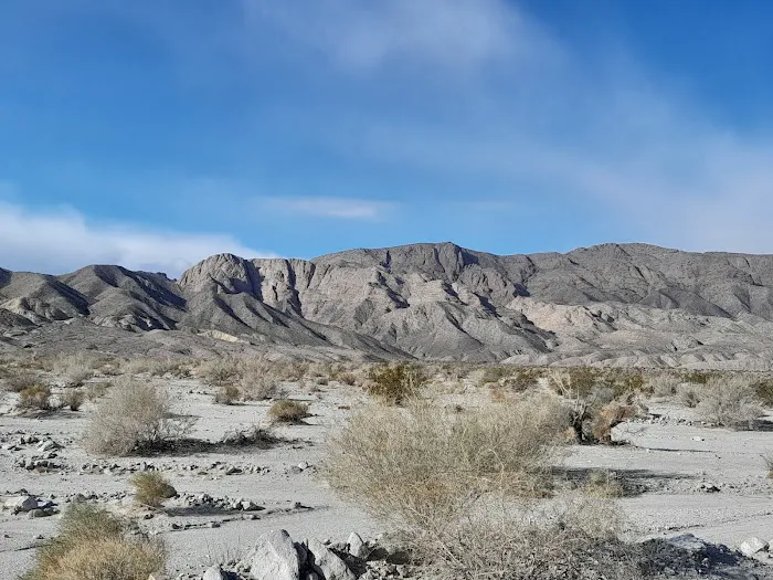 Fish Creek Primitive Campground Picture 3