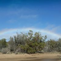 Ribbonwood Equestrian Campground ico