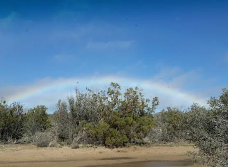 Ribbonwood Equestrian Campground