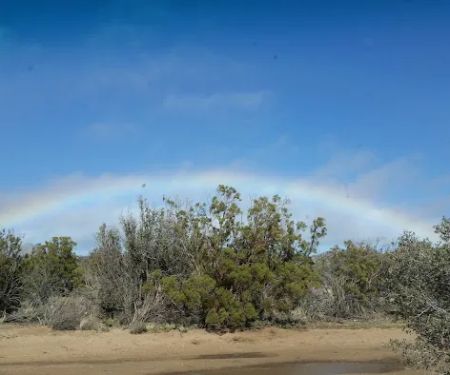 Ribbonwood Equestrian Campground