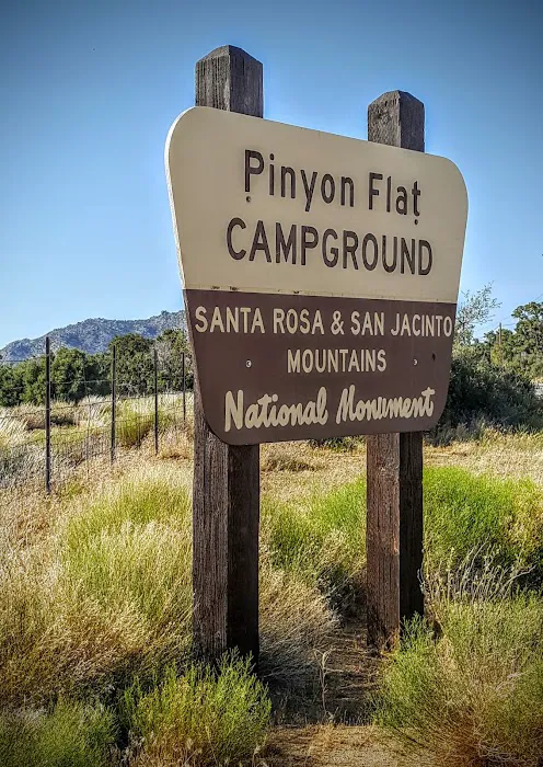 Pinyon Flat Campground Picture 2