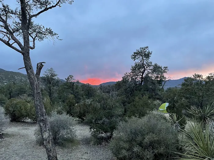 Pinyon Flat Campground Picture 3