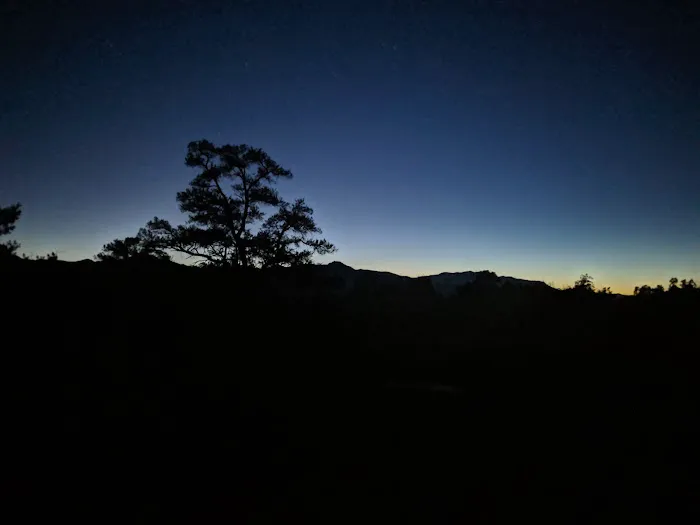 Pinyon Flat Campground Picture 4