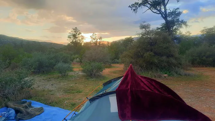 Pinyon Flat Campground Picture 6