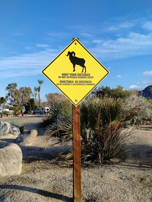 Lake Cahuilla Campground Picture 5