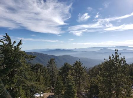 Strawberry Junction Campground