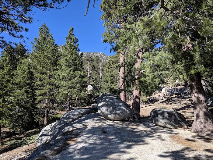 Strawberry Junction Campground Picture 2