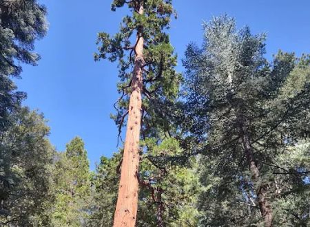 Fern Basin Campground